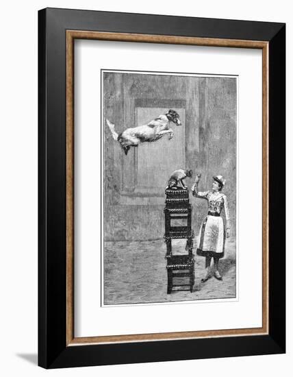 Trained Dogs, 19th Century-Science Photo Library-Framed Photographic Print