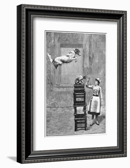 Trained Dogs, 19th Century-Science Photo Library-Framed Photographic Print