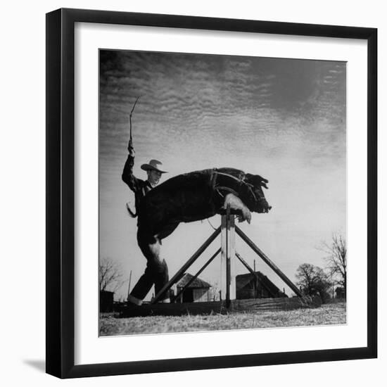 Trainer Tab Evans Snapping Whip as Pork chop Sails over 32 Inch Hurdle-John Dominis-Framed Photographic Print