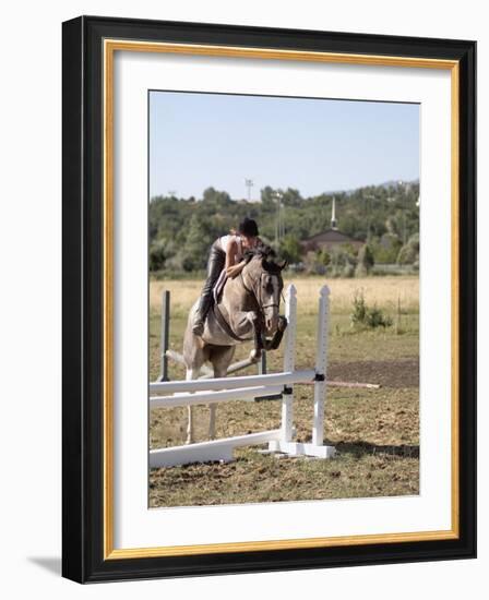 Training a Show Jumper-null-Framed Photographic Print