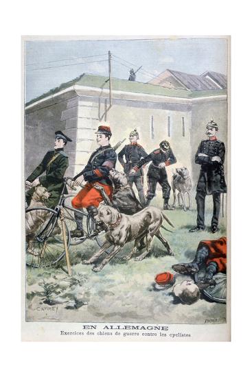 Training Army Dogs To Attack Cyclists Germany 1897 Giclee Print