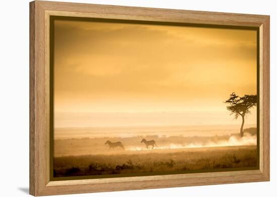 Training, because the lions await.-Jeffrey C. Sink-Framed Premier Image Canvas