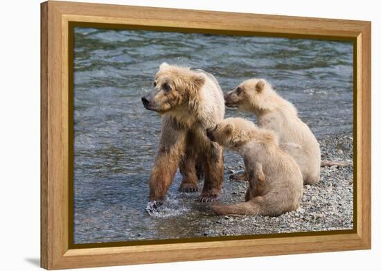 Training Day-Susann Parker-Framed Premier Image Canvas