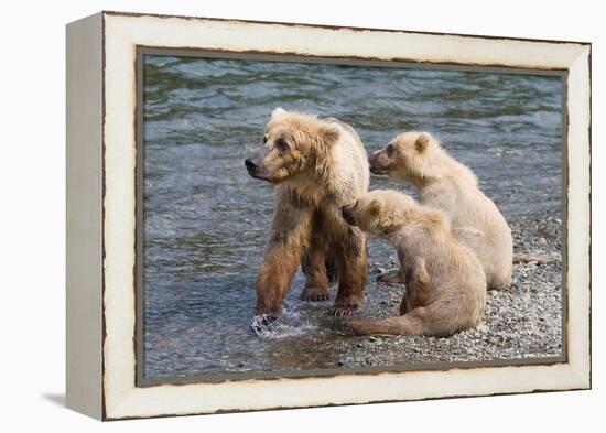 Training Day-Susann Parker-Framed Premier Image Canvas