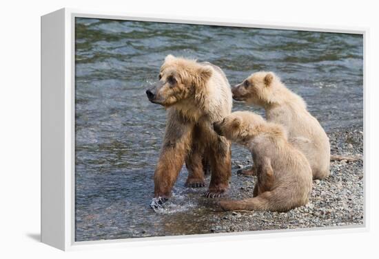 Training Day-Susann Parker-Framed Premier Image Canvas