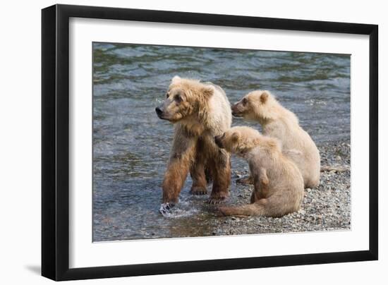 Training Day-Susann Parker-Framed Photographic Print