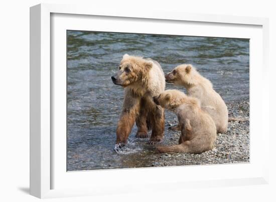 Training Day-Susann Parker-Framed Photographic Print