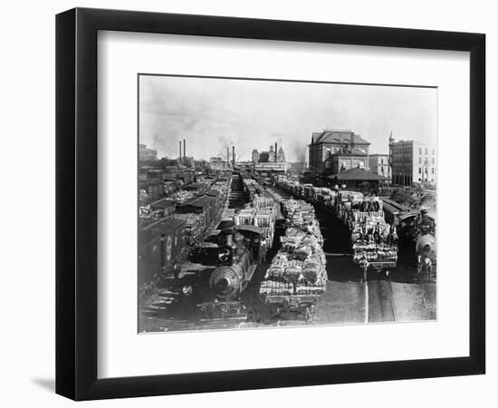 Trains Full of Cotton in Texas-John D. Roberts-Framed Photographic Print