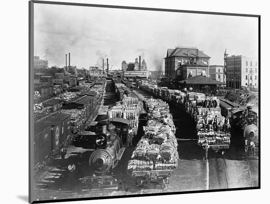 Trains Full of Cotton in Texas-John D. Roberts-Mounted Photographic Print