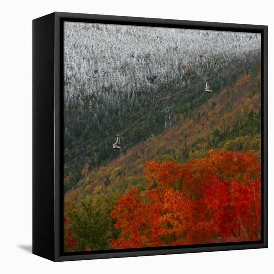 Tram Cars Take Tourists Up Cannon Mountain in New Hampshire as Snow Meets with Changing Leaves-null-Framed Premier Image Canvas