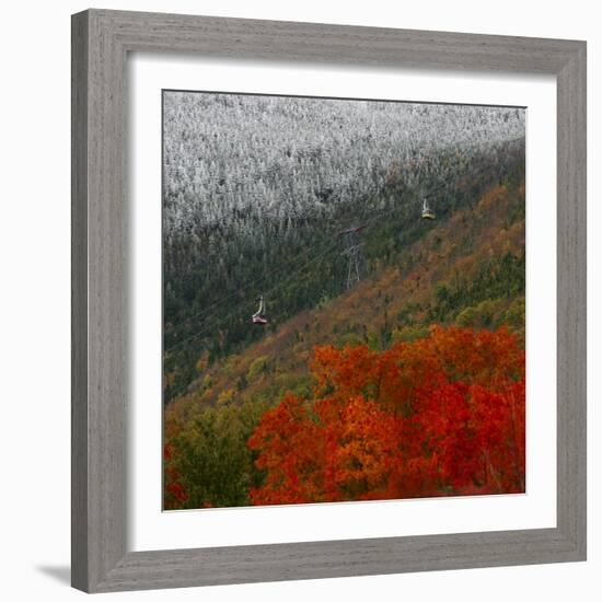 Tram Cars Take Tourists Up Cannon Mountain in New Hampshire as Snow Meets with Changing Leaves-null-Framed Photographic Print