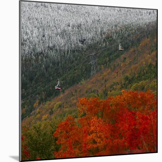 Tram Cars Take Tourists Up Cannon Mountain in New Hampshire as Snow Meets with Changing Leaves-null-Mounted Photographic Print