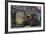 Tram, Izuro Street, Kagoshima City, Kyushu Island, Japan, Asia-Richard Cummins-Framed Photographic Print