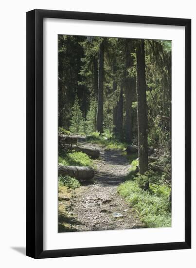 Trampas Lakes Trail in the Pecos Wilderness, Sangre De Cristo Mountains-null-Framed Photographic Print