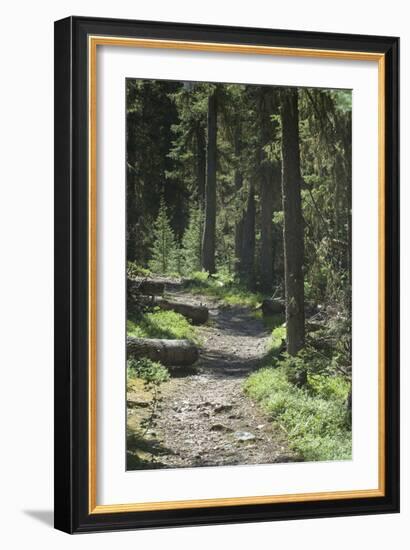 Trampas Lakes Trail in the Pecos Wilderness, Sangre De Cristo Mountains-null-Framed Photographic Print