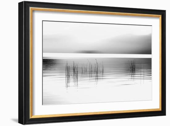 Tranquil Dawn-Marvin Pelkey-Framed Photographic Print