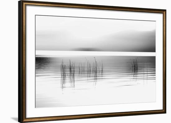 Tranquil Dawn-Marvin Pelkey-Framed Photographic Print
