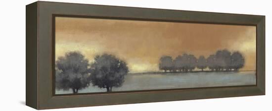 Tranquil Landscape V-Norman Wyatt Jr.-Framed Stretched Canvas