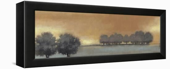 Tranquil Landscape V-Norman Wyatt Jr.-Framed Stretched Canvas