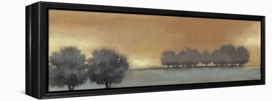 Tranquil Landscape V-Norman Wyatt Jr.-Framed Stretched Canvas