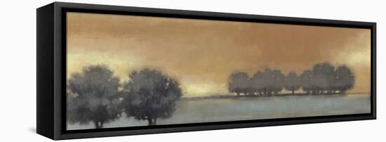 Tranquil Landscape V-Norman Wyatt Jr.-Framed Stretched Canvas