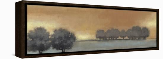 Tranquil Landscape V-Norman Wyatt Jr.-Framed Stretched Canvas