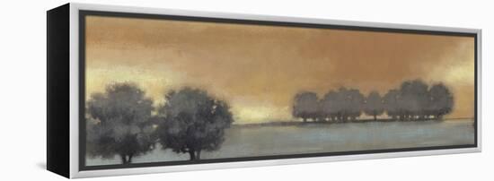 Tranquil Landscape V-Norman Wyatt Jr.-Framed Stretched Canvas