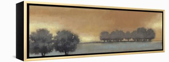 Tranquil Landscape V-Norman Wyatt Jr.-Framed Stretched Canvas