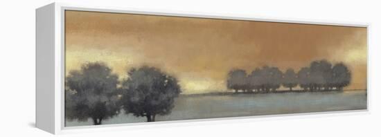 Tranquil Landscape V-Norman Wyatt Jr.-Framed Stretched Canvas