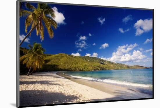 Tranquil Magens Beach, St Thomas, Virgin Islands-George Oze-Mounted Photographic Print