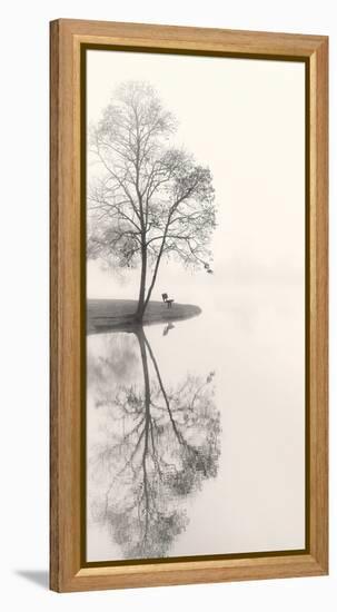 Tranquil Morning-Nicholas Bell-Framed Stretched Canvas