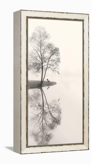 Tranquil Morning-Nicholas Bell-Framed Stretched Canvas