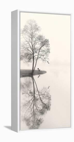 Tranquil Morning-Nicholas Bell-Framed Stretched Canvas