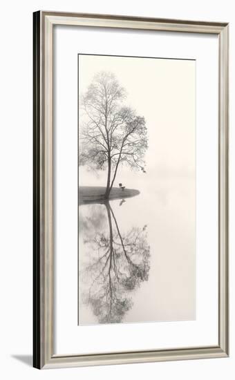 Tranquil Morning-Nicholas Bell-Framed Photographic Print