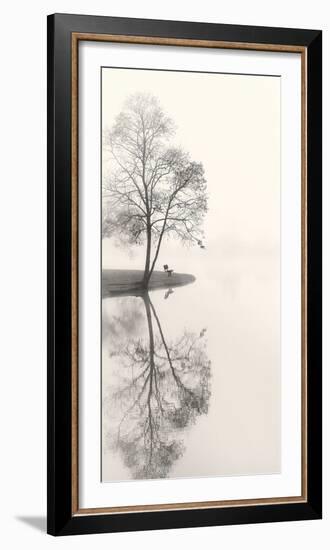 Tranquil Morning-Nicholas Bell-Framed Photographic Print