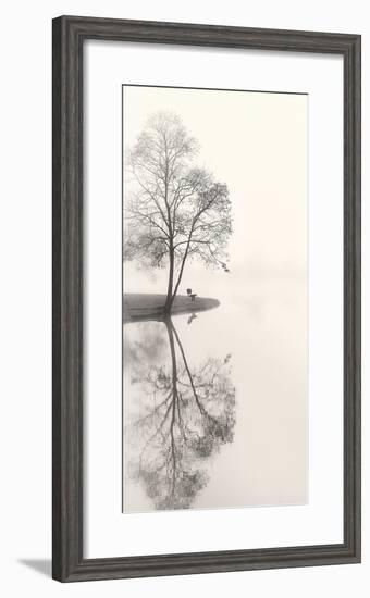 Tranquil Morning-Nicholas Bell-Framed Photographic Print