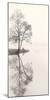 Tranquil Morning-Nicholas Bell-Mounted Photographic Print