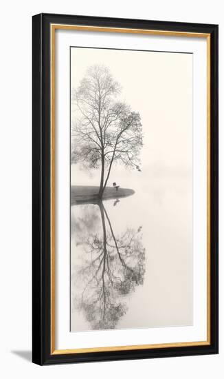 Tranquil Morning-Nicholas Bell-Framed Photographic Print