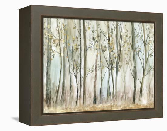 Tranquil Oasis-Allison Pearce-Framed Stretched Canvas