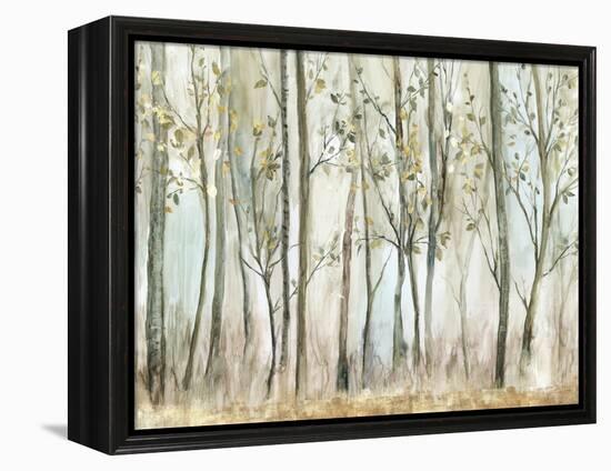 Tranquil Oasis-Allison Pearce-Framed Stretched Canvas