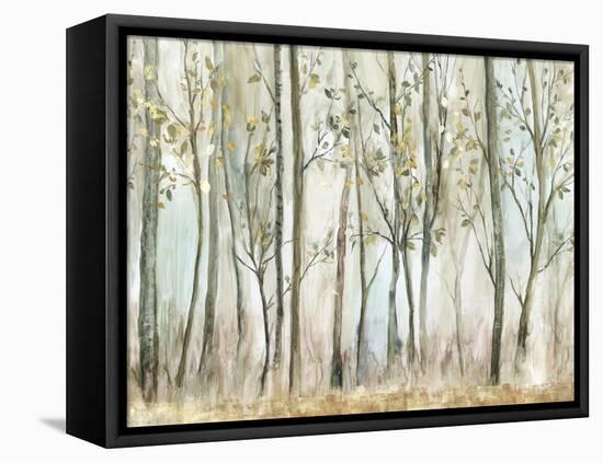 Tranquil Oasis-Allison Pearce-Framed Stretched Canvas