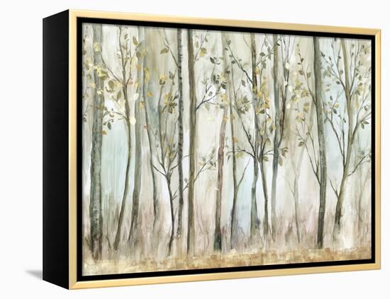 Tranquil Oasis-Allison Pearce-Framed Stretched Canvas