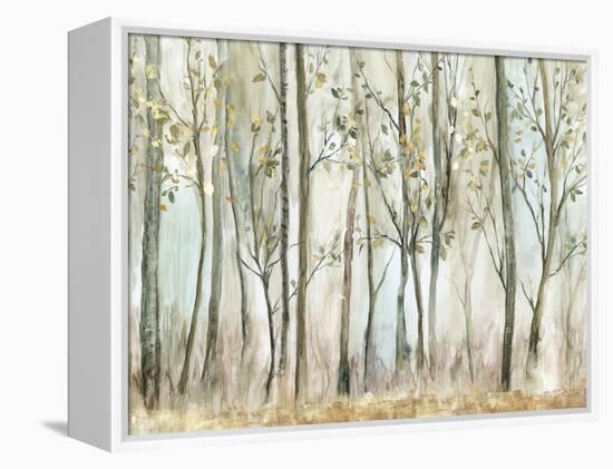 Tranquil Oasis-Allison Pearce-Framed Stretched Canvas