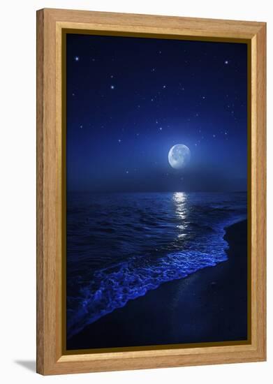 Tranquil Ocean at Night Against Starry Sky and Moon-null-Framed Premier Image Canvas