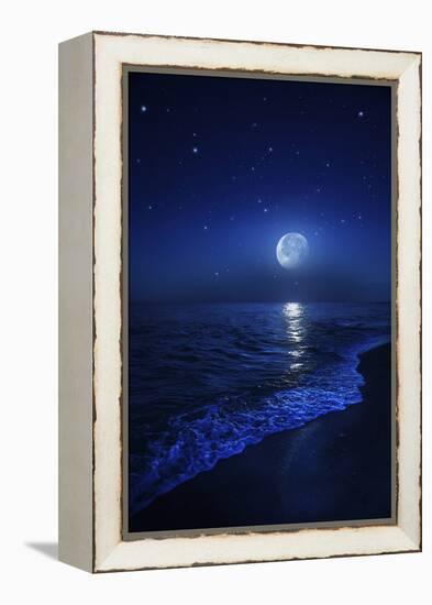 Tranquil Ocean at Night Against Starry Sky and Moon-null-Framed Premier Image Canvas