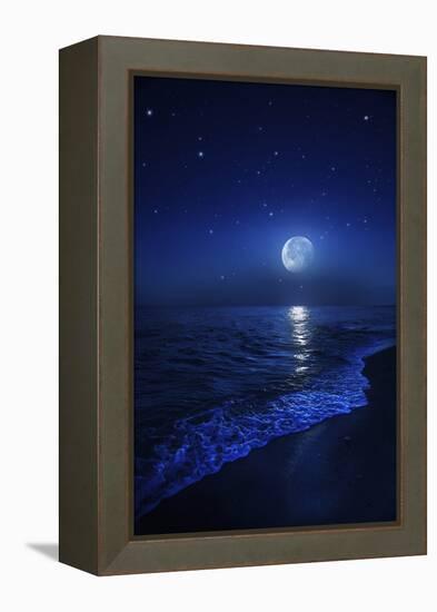 Tranquil Ocean at Night Against Starry Sky and Moon-null-Framed Premier Image Canvas