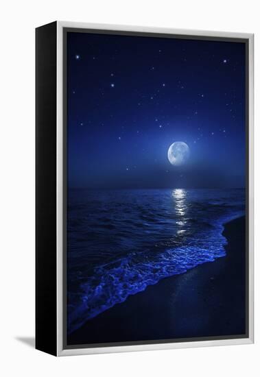 Tranquil Ocean at Night Against Starry Sky and Moon-null-Framed Premier Image Canvas