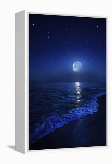 Tranquil Ocean at Night Against Starry Sky and Moon-null-Framed Premier Image Canvas
