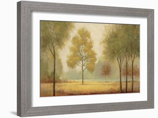 Tranquil Panorama-Jill Schultz McGannon-Framed Art Print