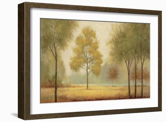 Tranquil Panorama-Jill Schultz McGannon-Framed Art Print